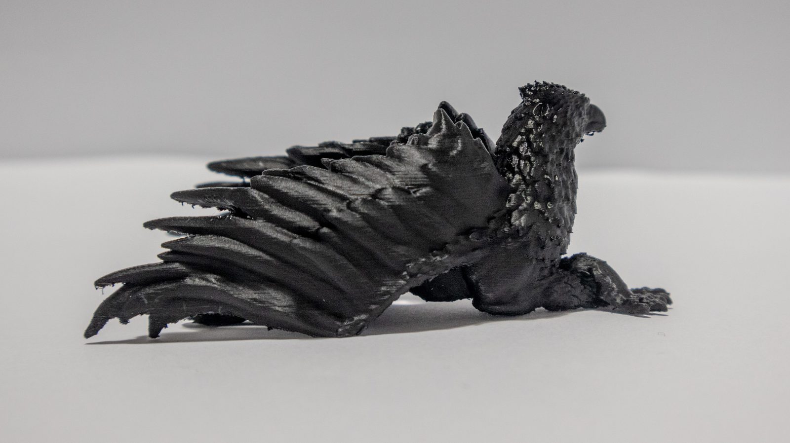 Figur eines Greifvogels mit ausgebreiteten Flügeln in Schwarz gedruckt, Seitenansicht mit fein aufgelöster Gefiederstruktur